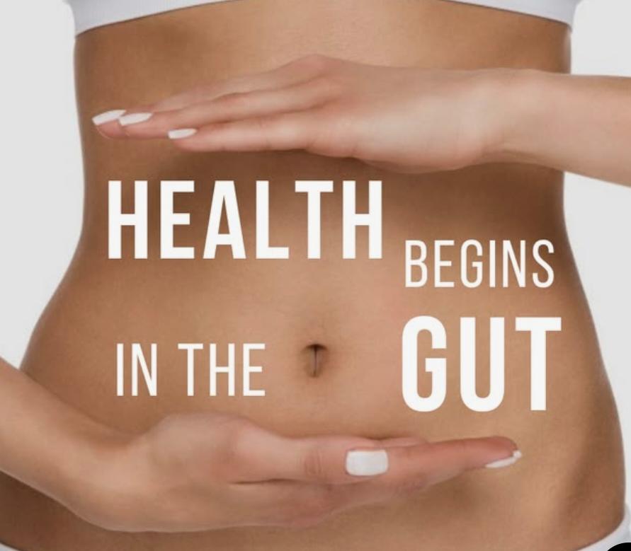 Health begins in the gut