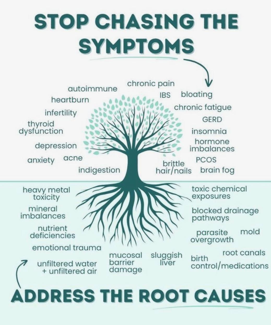 Stop Chasing the Symptoms Tree
