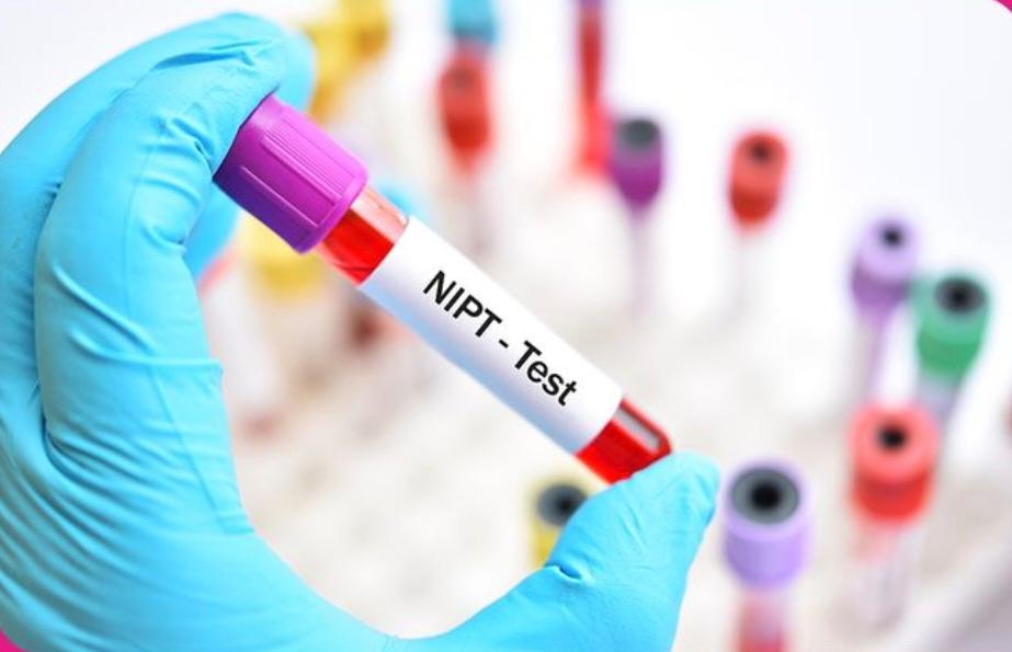 NIPT Blood Test Tube