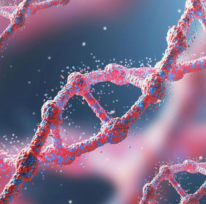 Chromosomes