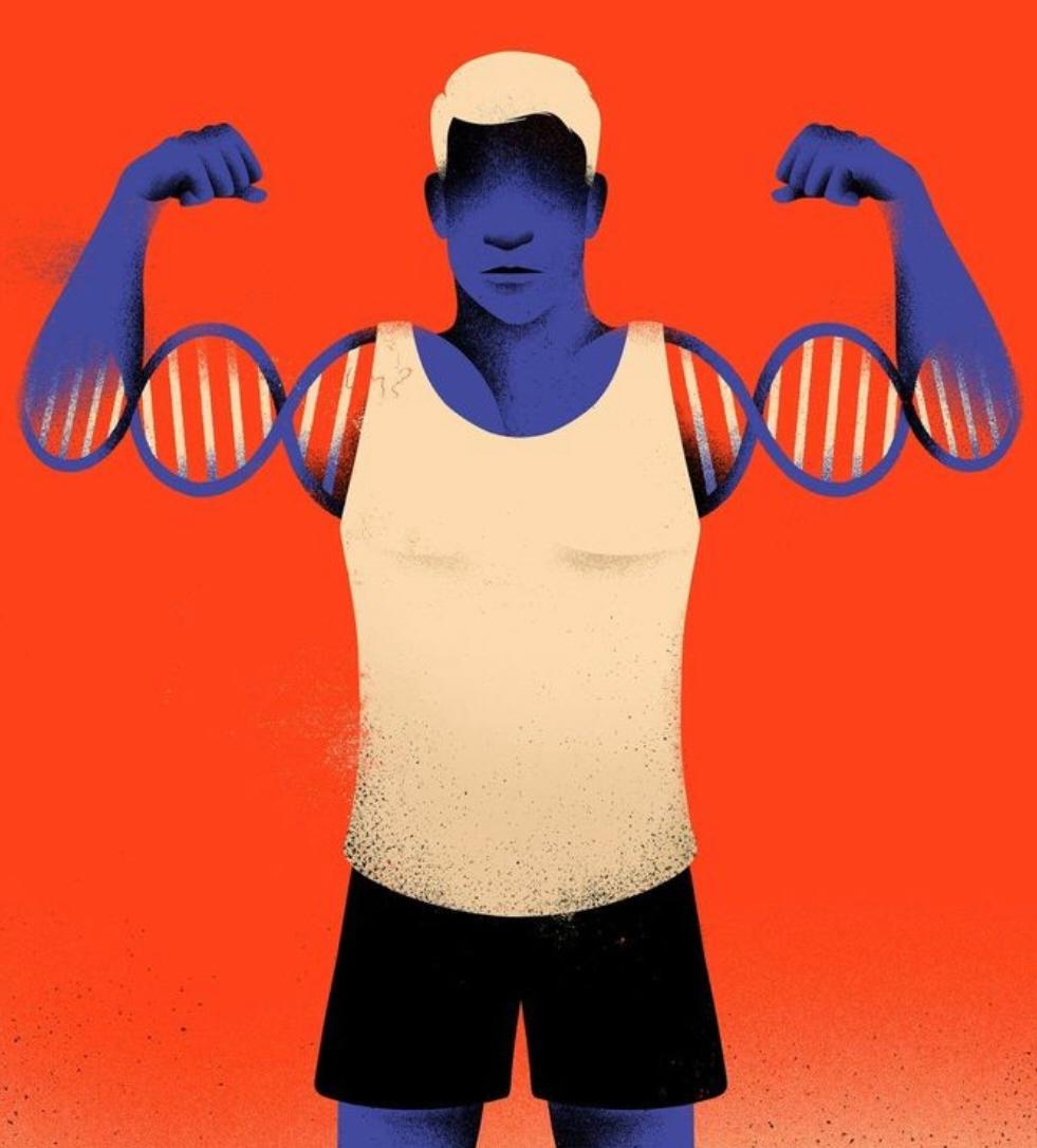 Muscle Suit 2