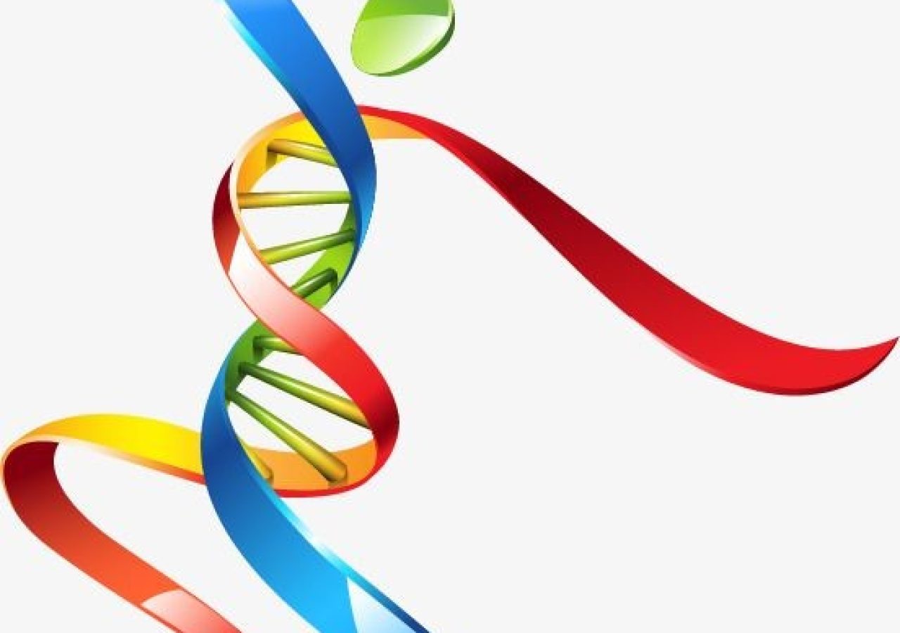Moving People PNG Picture, Dna Ribbon Color Moving People, Vector Material, Dnd, Medical PNG Image For Free Download